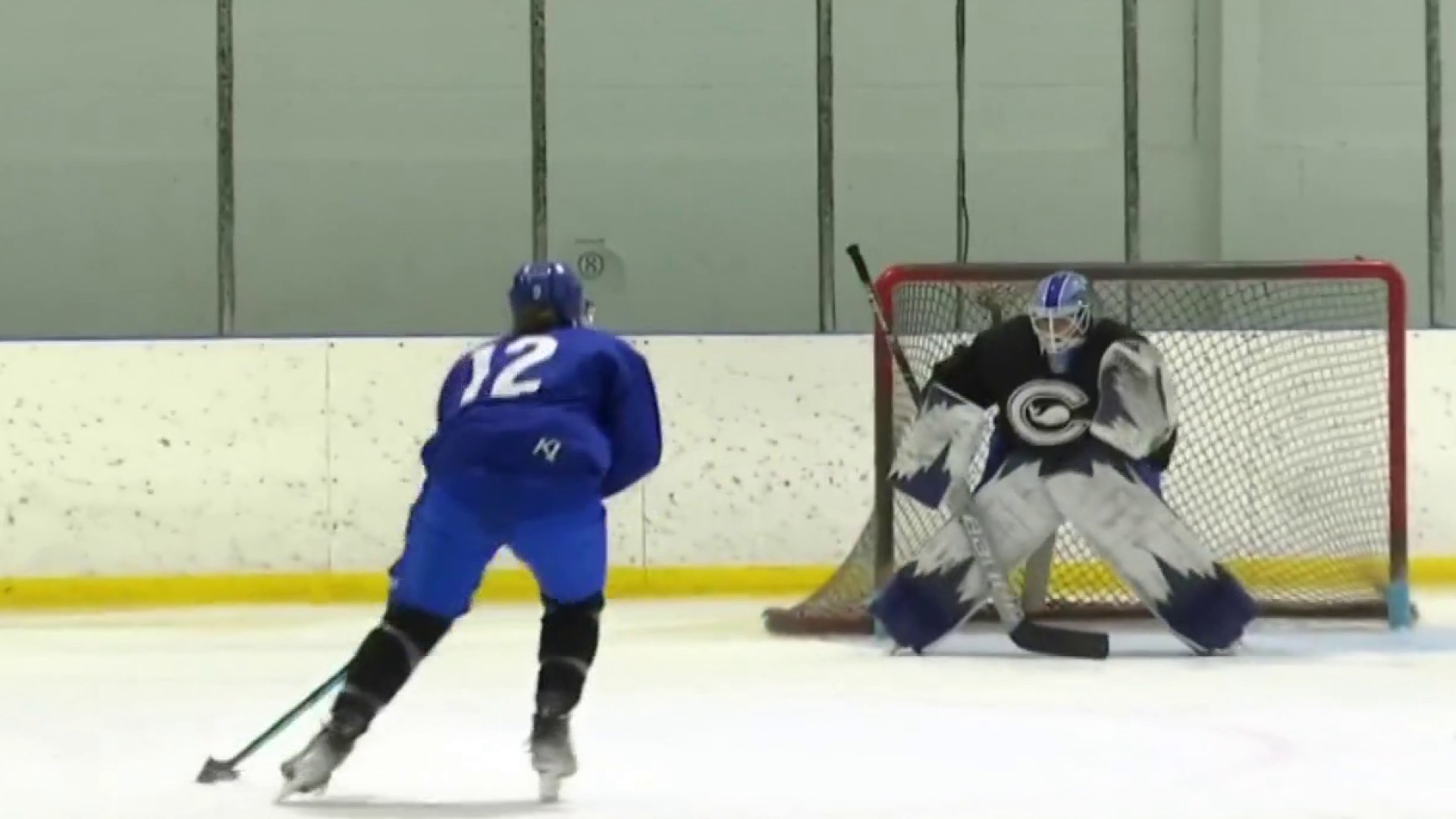 Premier Hockey Federation Investment Means Salary Boosts for Connecticut  Whale – NBC Connecticut