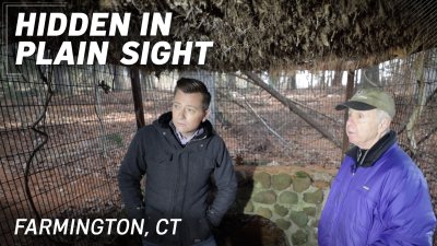 Hidden in Plain Sight: Where the Wild Things Were