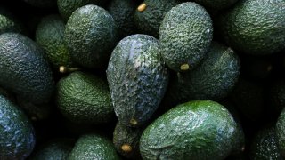 Recently harvested avocados at an orchard near Ziracuaretiro, Michoacan state, Mexico, Oct. 1, 2019. Mexico has acknowledged late Saturday, Feb. 13, 20222, that the U.S. government has suspended all imports of Mexican avocados after a U.S. plant safety inspector in Mexico received a threat. (AP Photo/Marco Ugarte, File)