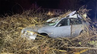 A tree fell on car a in Tolland