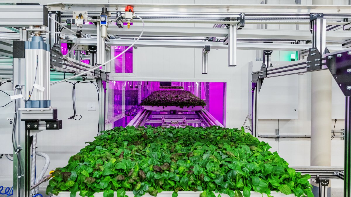 Next to the Last Steel Mill in Town, a Robotic Farm Grows Backed by Pritzker Billions - Vimarsana News