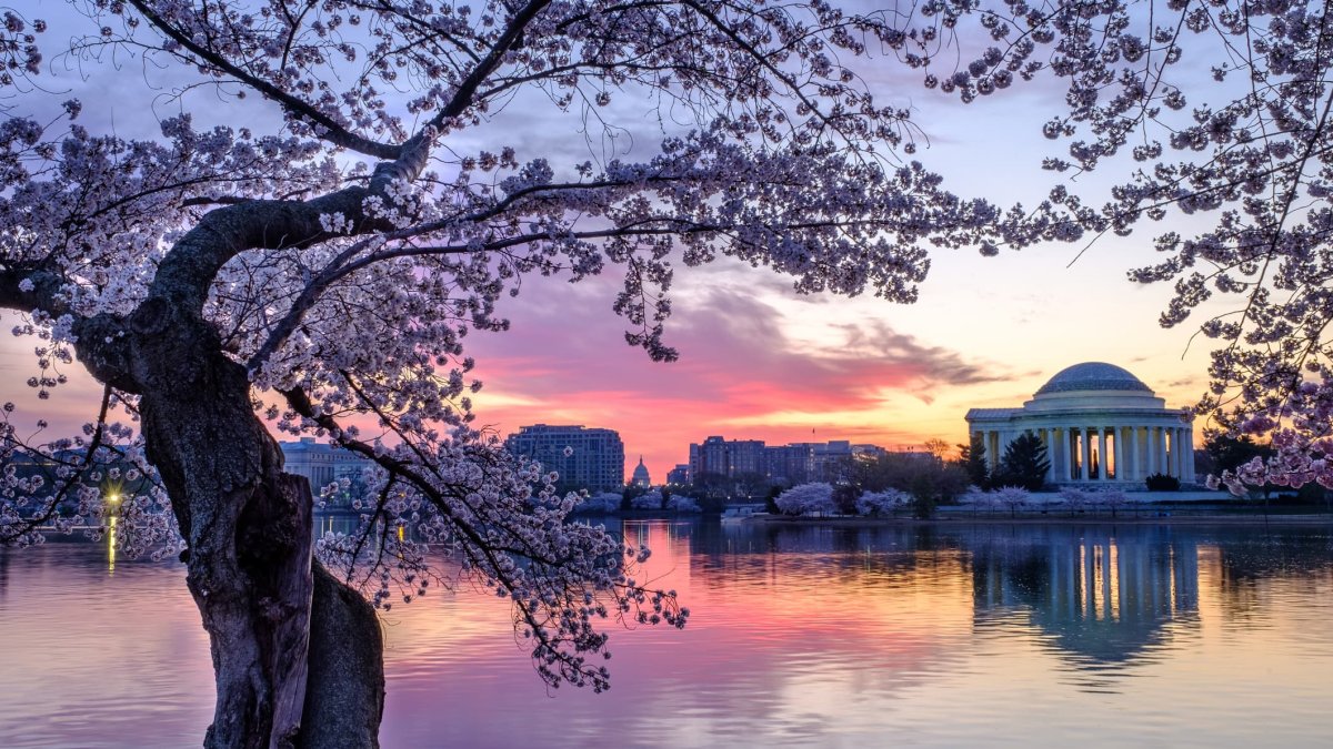 The U.S. Moved Up in This Year's World Happiness Ranking ⁠— Here's Where It Ranks Now - Vimarsana News