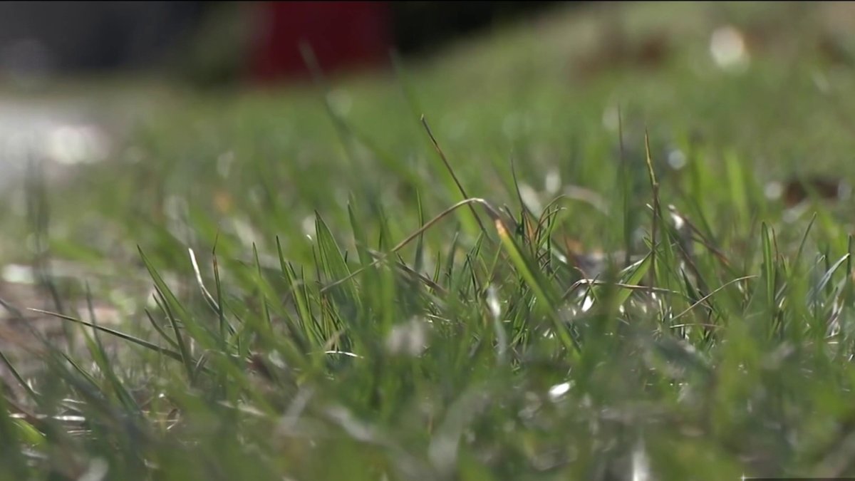 Allergy Season Off to an Early Start NBC Connecticut