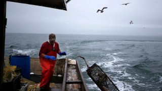 Bobby Kent pushes a baited lobster pot into the waters of Long Island Sound off Groton, Connecticut, May 2, 2016. Only a handful of lobstermen still work the waters due to a dwindling lobster population.