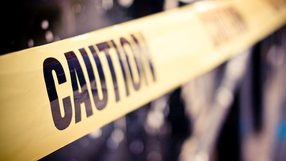 Bronx News: Woman Stabs Neighbor to Death in Fight Over Loud Music – NBC Connecticut - Vimarsana News