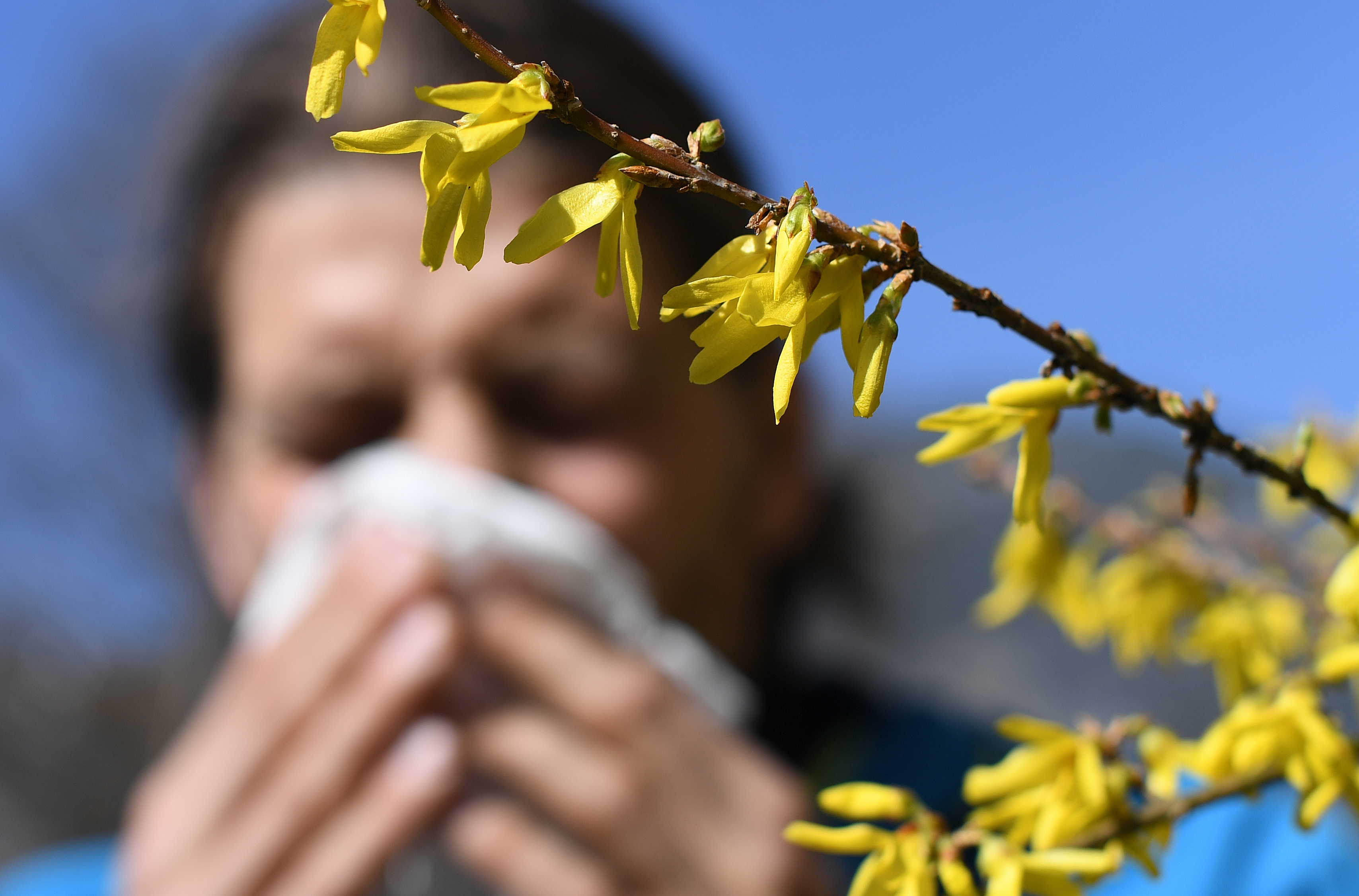 Why Do I get Allergies and How to Feel Better Faster – NBC Connecticut - Vimarsana News