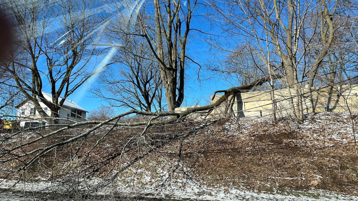 Section of Berlin Turnpike Closed After Downed Tree Snaps Telephone Pole - Vimarsana News