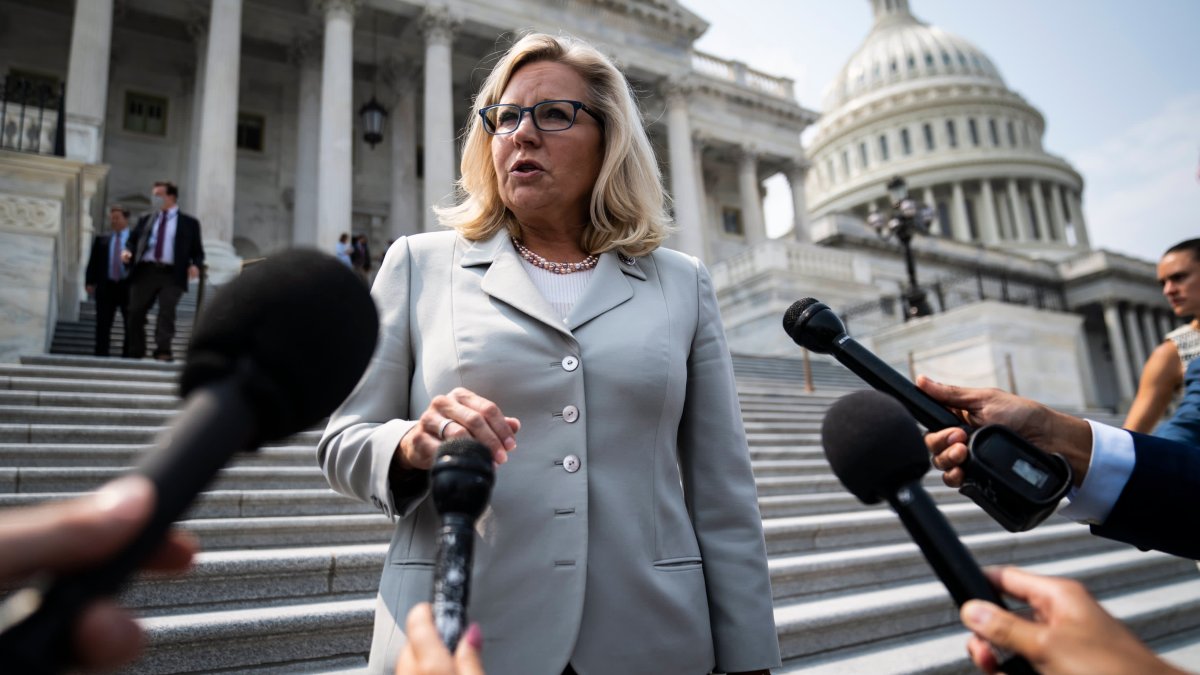 Liz Cheney Denies Recording Bombshell Tape of Kevin McCarthy Saying He Would Urge Trump to Resign After Jan. 6 Riot - Vimarsana News