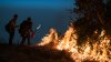 US Forest Chief Calls for Pause of Prescribed Fires