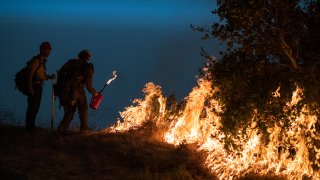 California Wildfire-Condor Sanctuary Burns