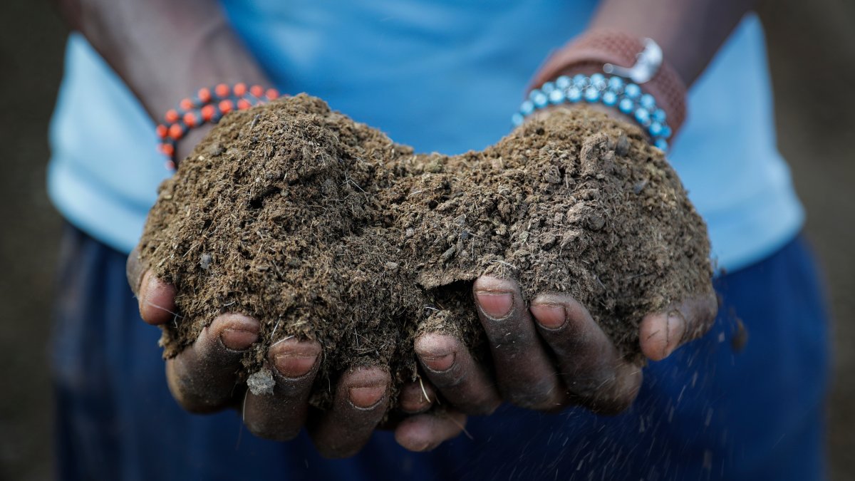 Russian War Worsens Fertilizer Crunch, Risking Food Supplies – NBC Connecticut - Vimarsana News