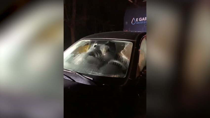 Black Bear Breaks Into Car in Cornwall