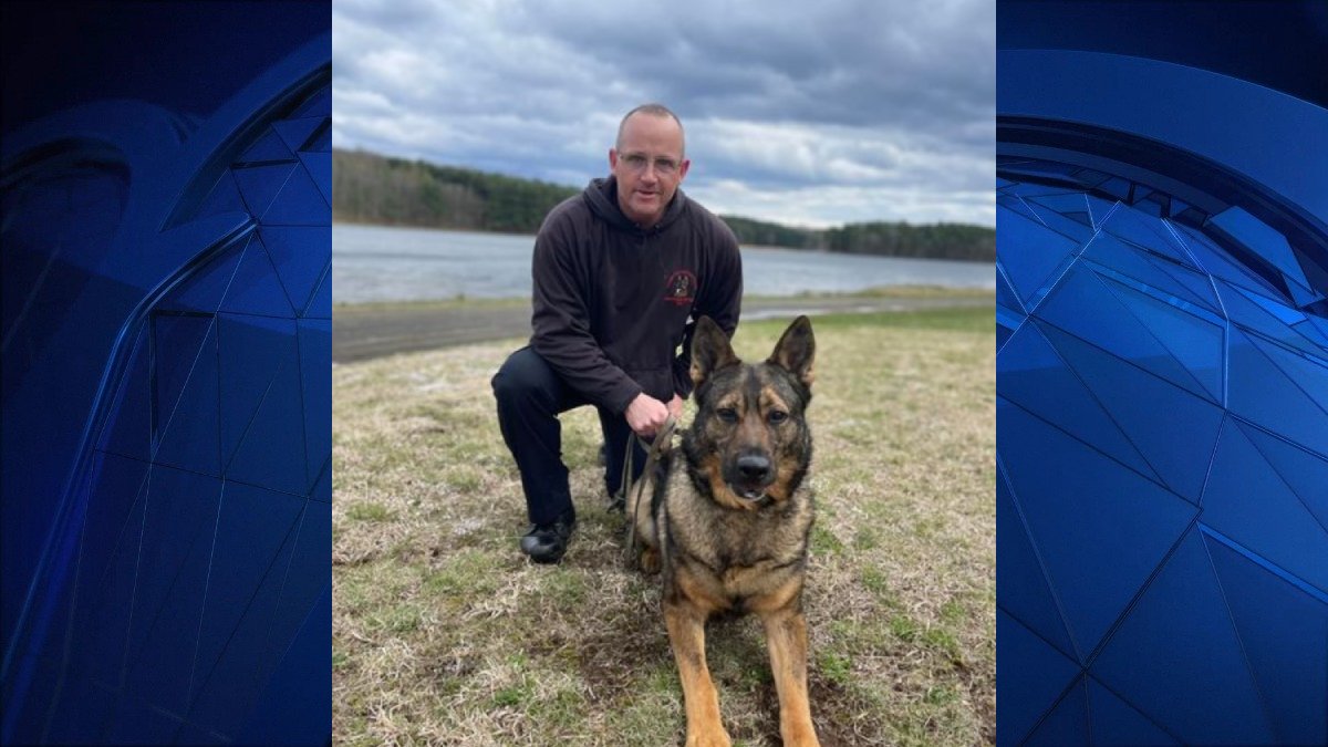 West Haven Sergeant Retiring His K9 Partner This Weekend - Vimarsana News