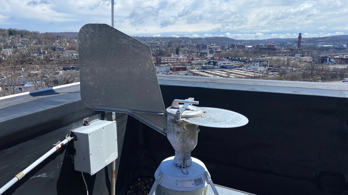 Waterbury Hospital Collects Pollen Count to Help Allergy Sufferers