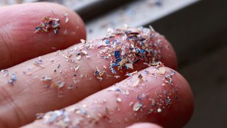Close up photo of microplastics laying on a person's fingertips.