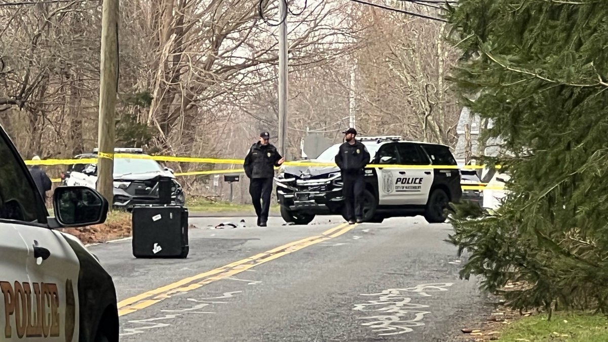 Woman Wanted in Connection to Vehicle Break-Ins in Wolcott Taken Into Custody After Crash in Monroe - Vimarsana News
