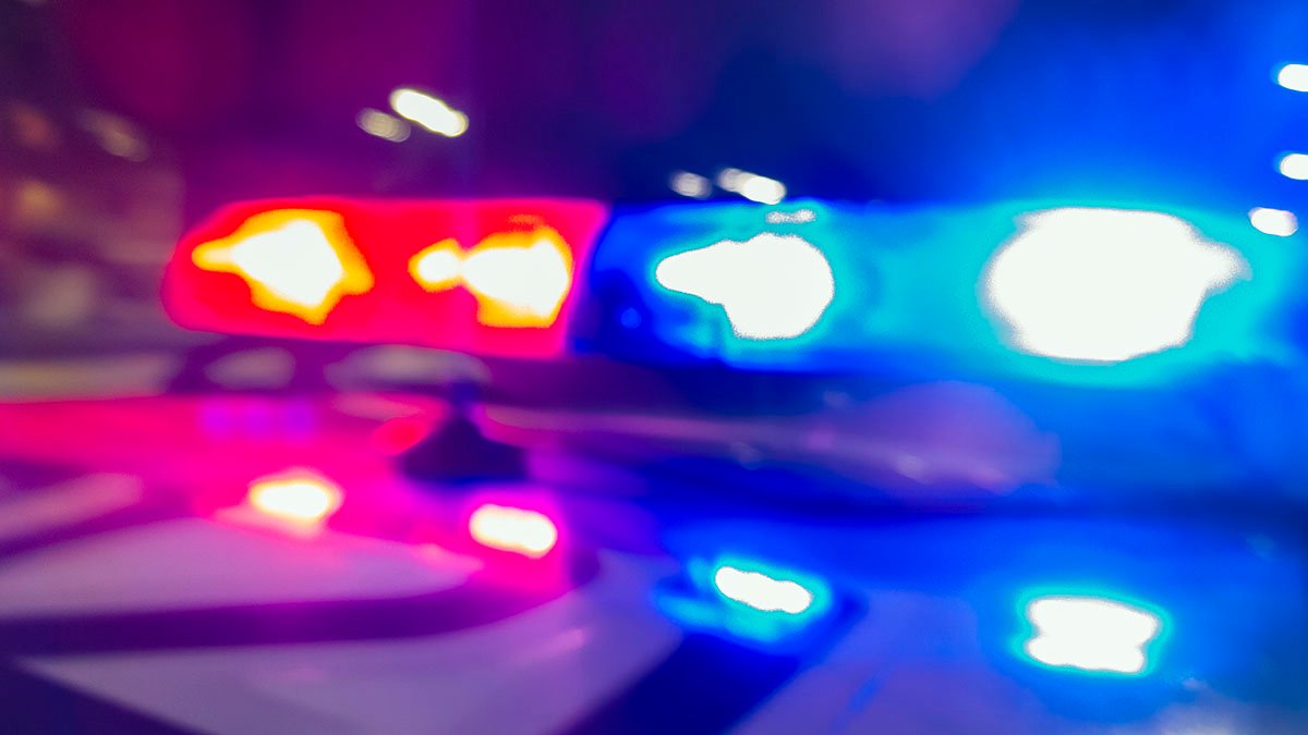 Man, 21, Arrested a Week After 3 Killed at Georgia Gun Range – NBC Connecticut - Vimarsana News
