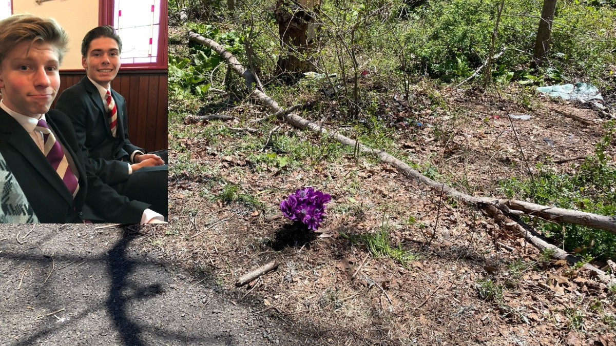 Police ID 3 People Found Dead After Crash in Branford – NBC Connecticut