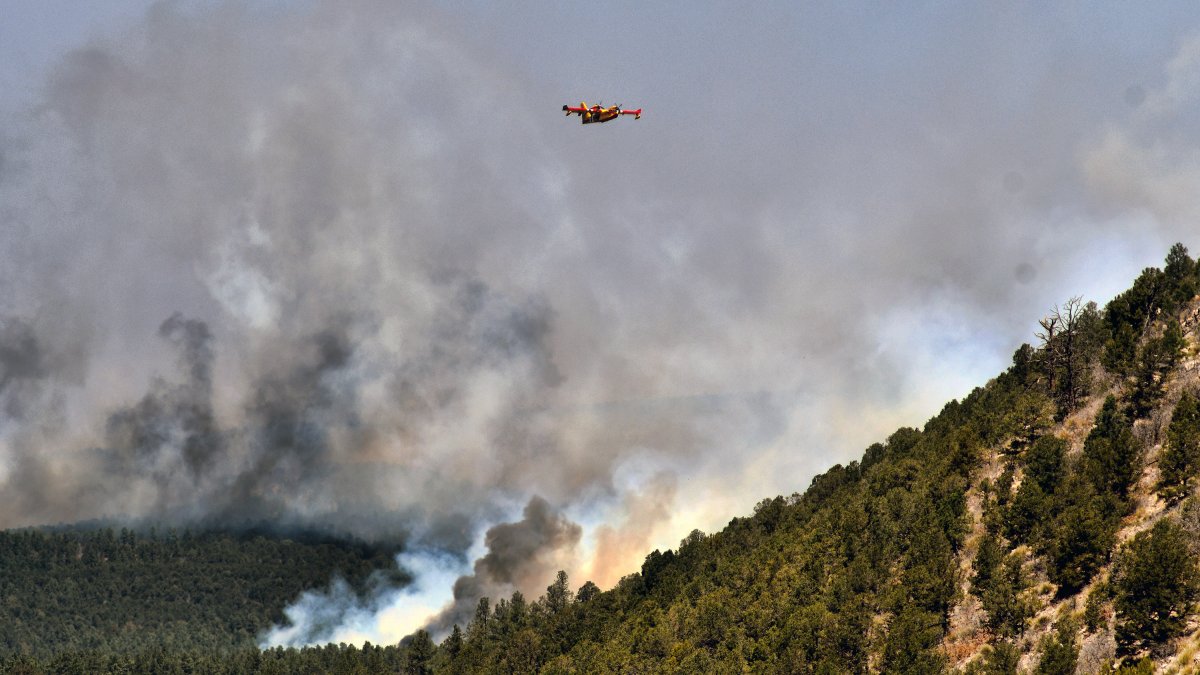 Biden Declares Disaster in New Mexico for Largest Wildfire in US – NBC Connecticut - Vimarsana News