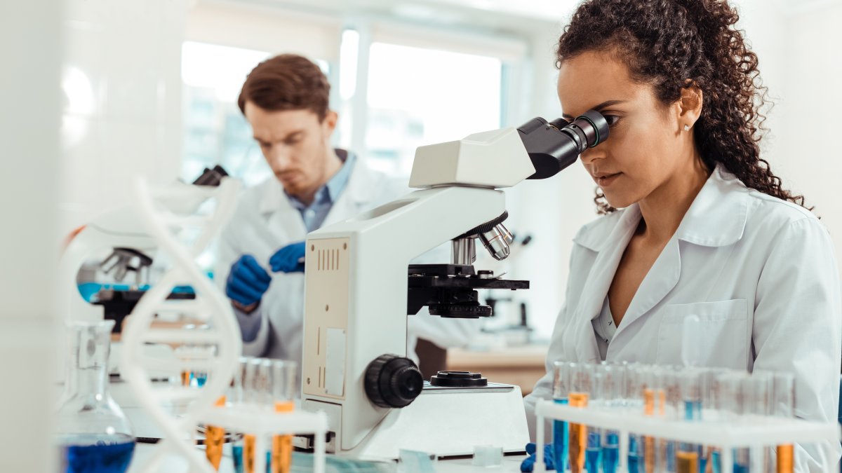 Understanding How a DNA Sequencing Project Can Unlock Key Genetic Insights - Vimarsana News