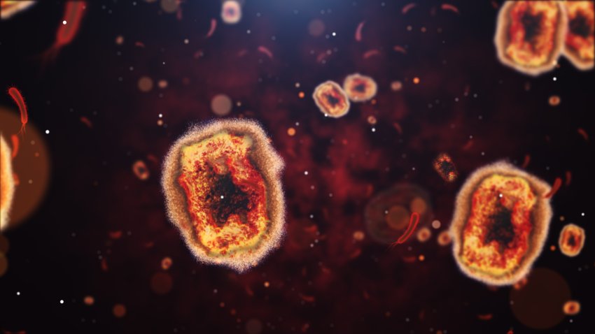 Is Monkeypox Treatable? What to Know