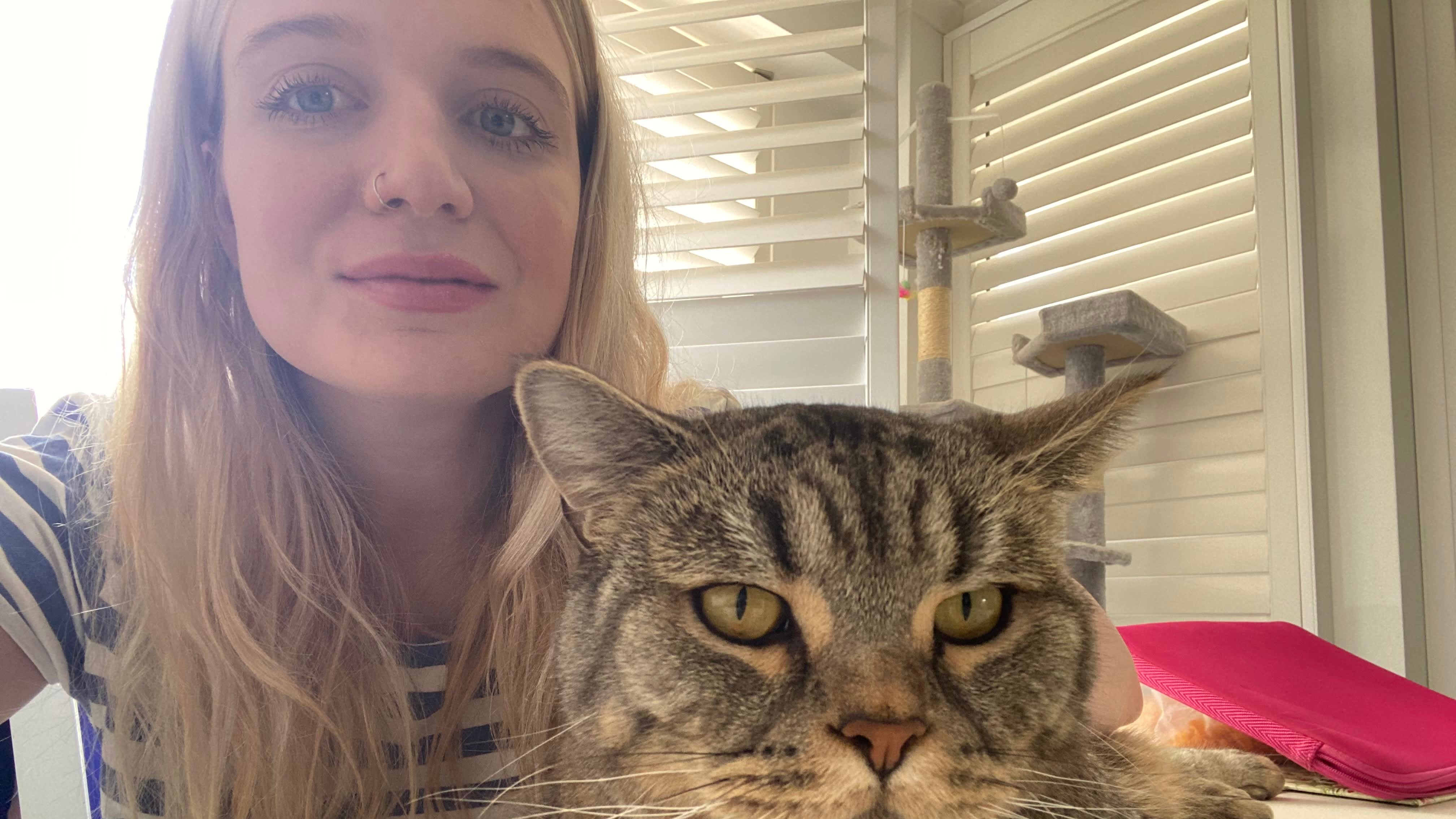 This 32-Year-Old Australian Woman Has Saved $28,000 on Travel by Cat-Sitting Around the World — Here's How - Vimarsana News