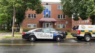 Police cruiser and ambulance on Webster Street in Hartford.