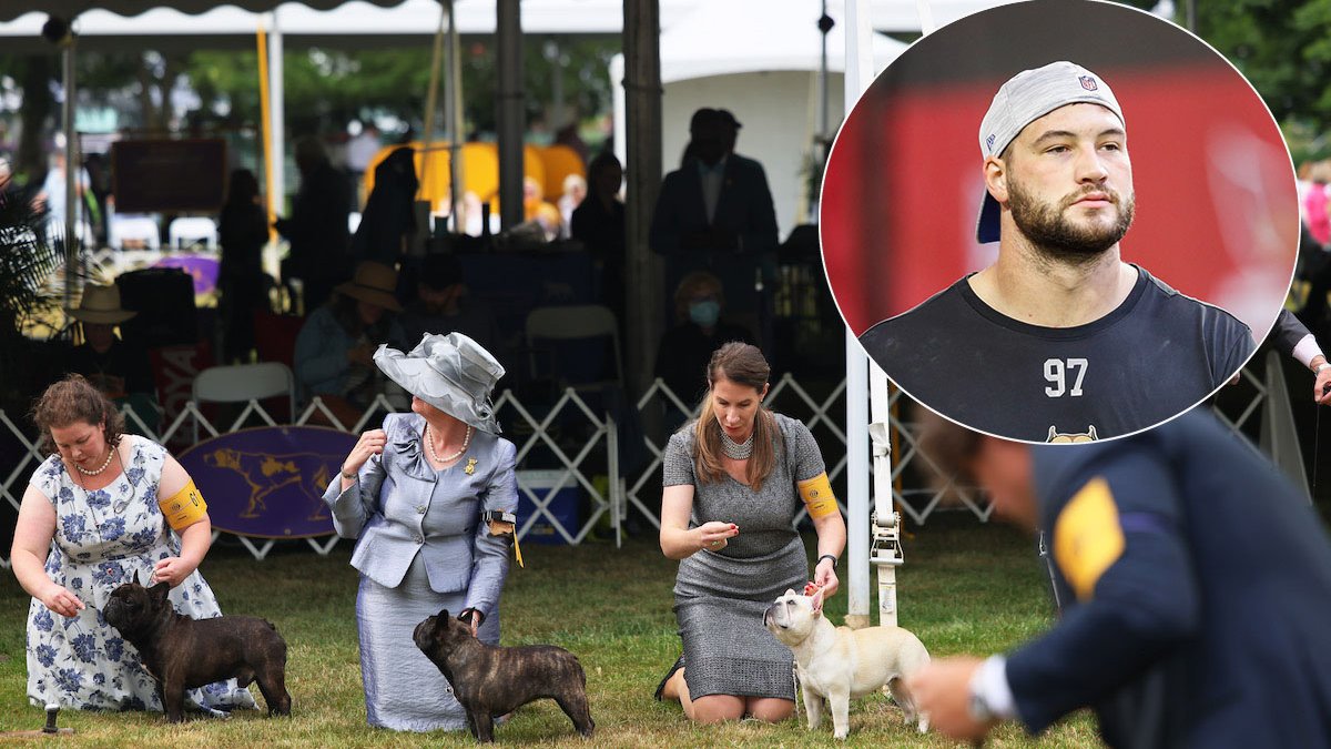 Westminster Dog Show Gets 4 Finalists, and One Has NFL Ties – NBC Connecticut - Vimarsana News