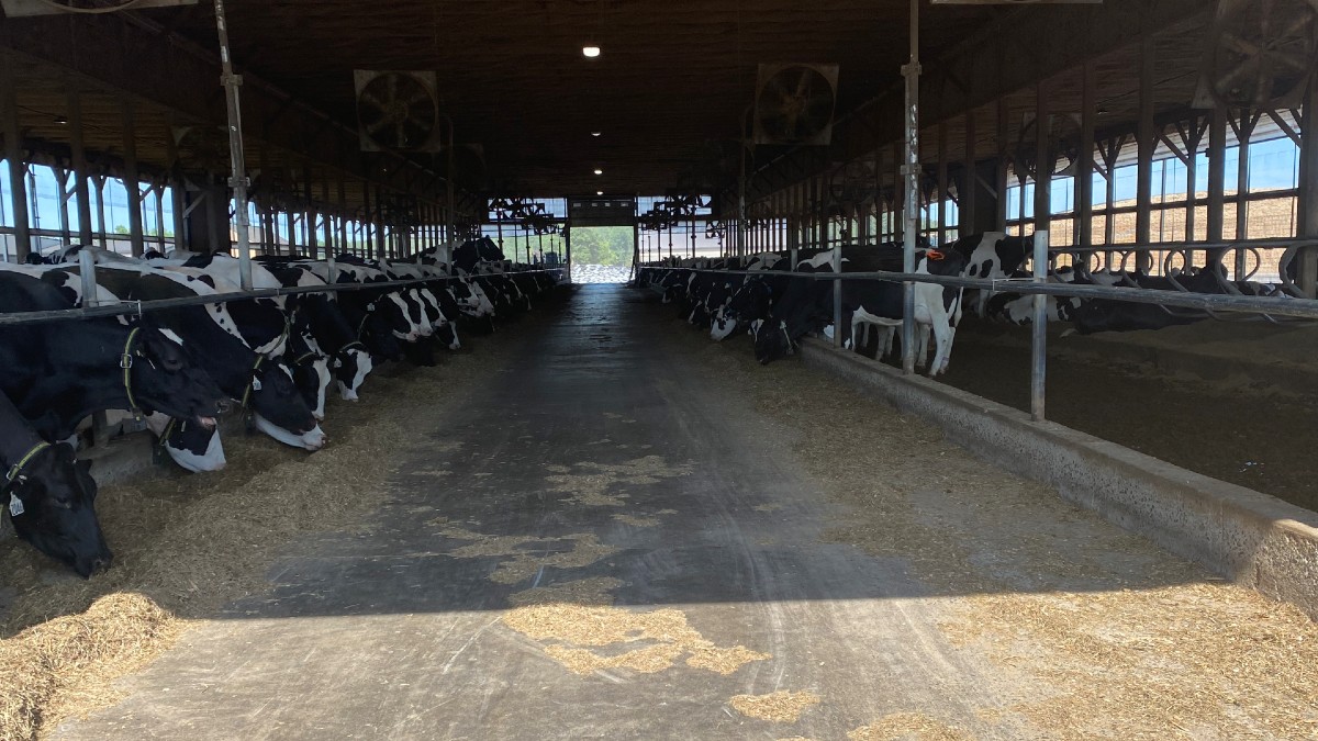 Ellington Farm to Convert Manure Into Natural Gas NBC Connecticut