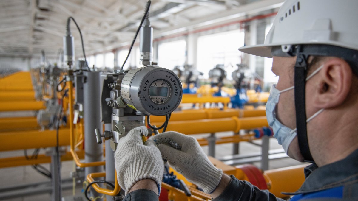 Germany Fears 'Serious' Situation as Russian Gas Flows Are Set to Dwindle; Ukraine Looks to Resume Grain Exports – NBC Connecticut - Vimarsana News