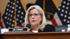 Liz Cheney Braces for Loss as Donald Trump's Influence Tested in Wyoming and Alaska
