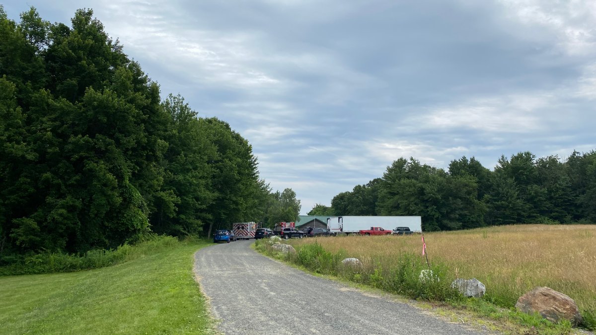 Plane Lands in Trees Near Waterbury Airport - Vimarsana News