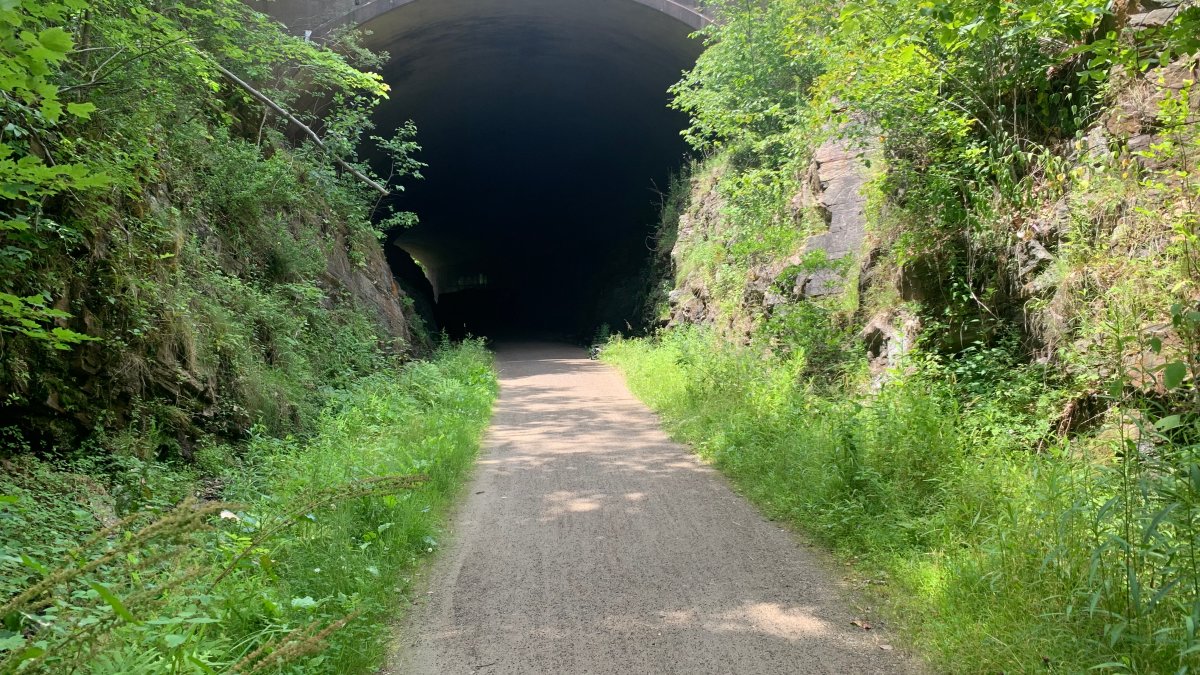 Students Develop Plan to Light Up Dark Tunnel on Bolton's River Hop Trail - Vimarsana News