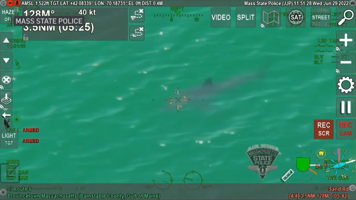 Cape Cod Shark Sighting Video NBC Connecticut