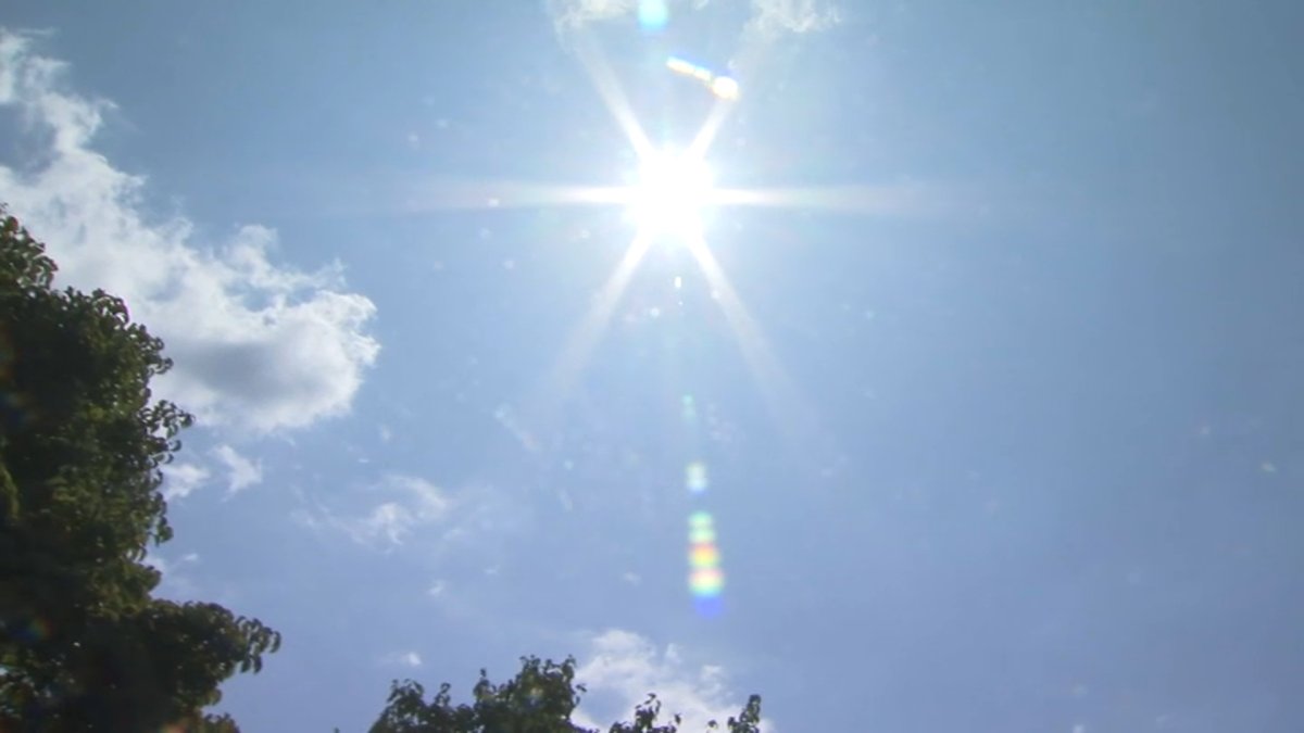 New Haven neighborhood has the most people vulnerable to extreme heat - Vimarsana News