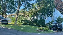 A tree on top of a home on Hickory Lane in Wolcott.