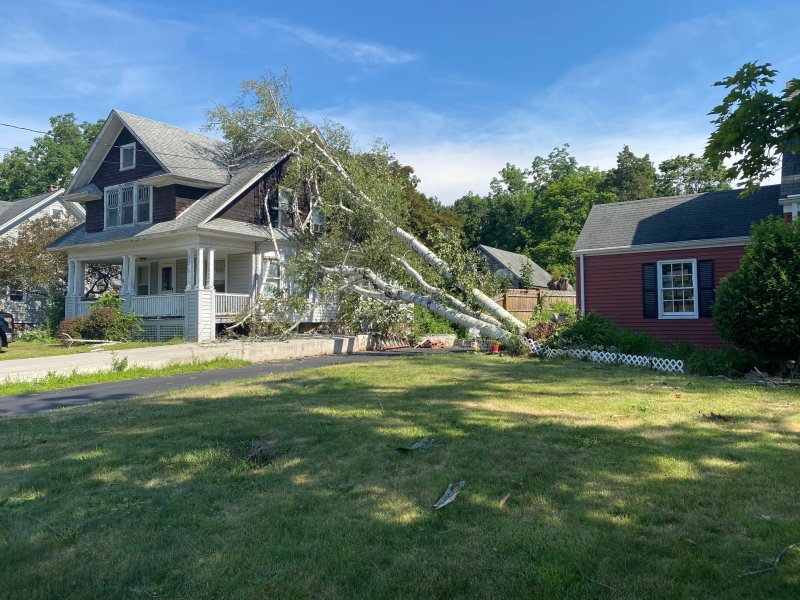 PHOTOS: Multiple Connecticut Towns Reporting Damage After Severe Storms