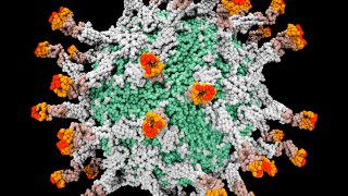 Digitally generated image of 3D molecular model of polio virus