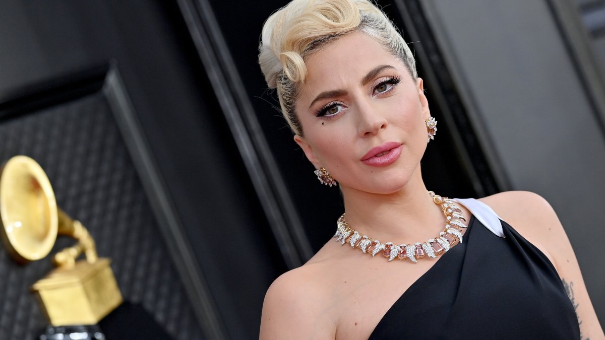 Man Released in Shooting and Robbery of Lady Gaga's Friend and Dog Walker Recaptured - Vimarsana News