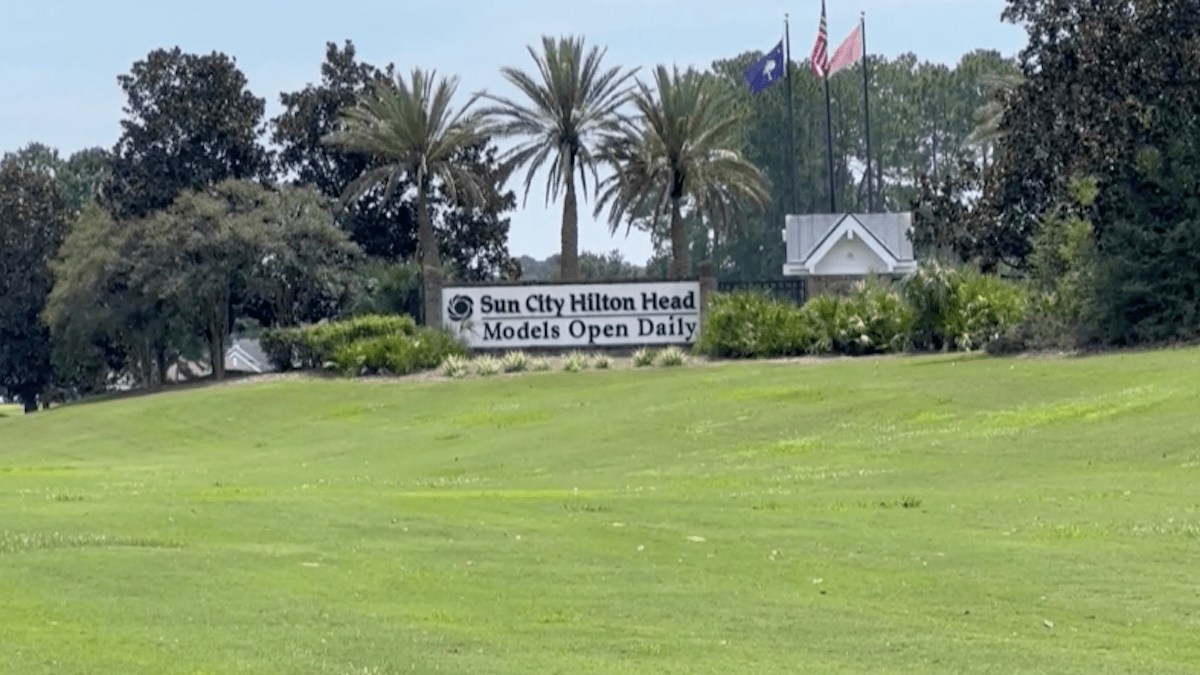 88-Year-Old Killed in Alligator Attack Near Hilton Head, South Carolina – NBC Connecticut - Vimarsana News
