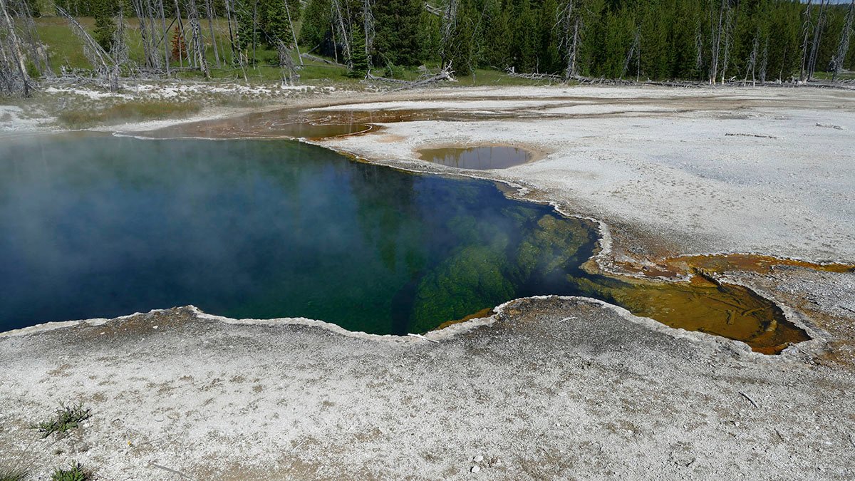 Foot Found Floating in Yellowstone Hot Spring Is Linked to July Death: Officials - Vimarsana News