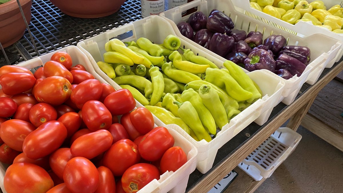 Heat and Dry Conditions Affecting Connecticut Farms - Vimarsana News