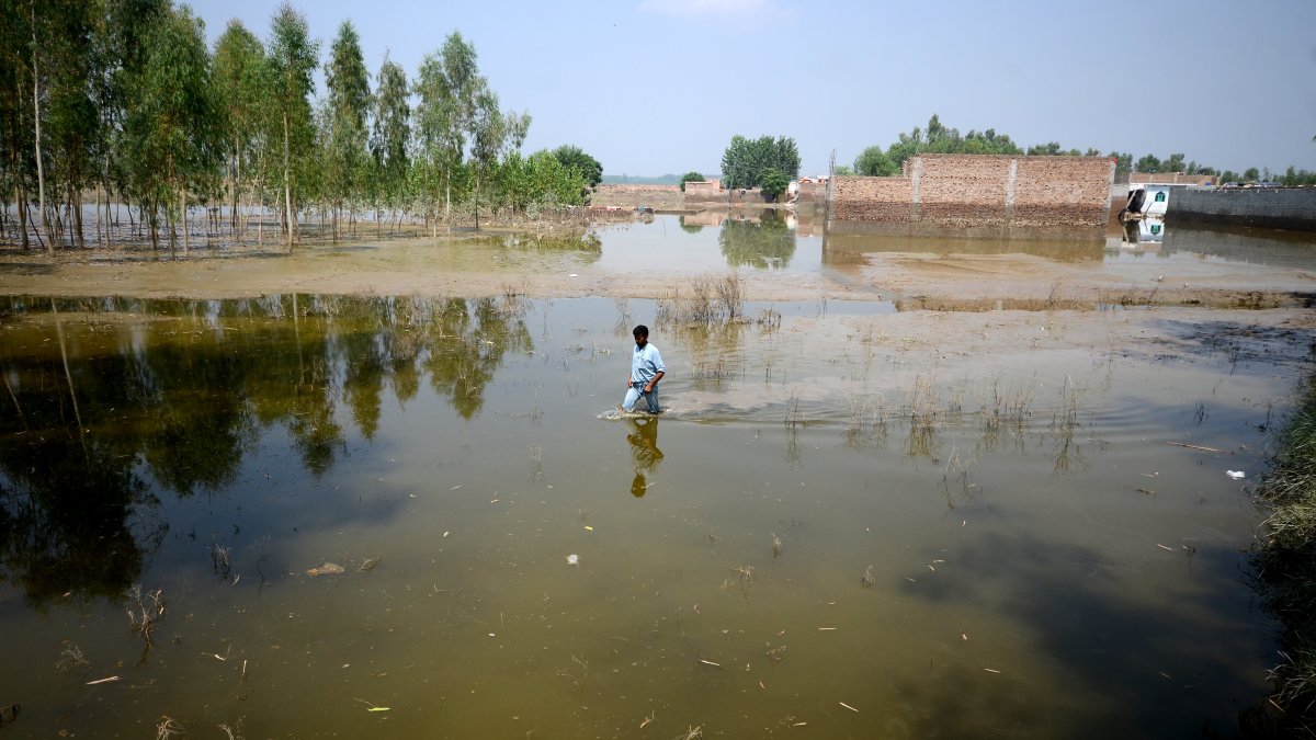 'Climate Disaster of Biblical Proportions': Pakistan Minister Warns Flood Damage Will Exceed $10 Billion – NBC Connecticut - Vimarsana News