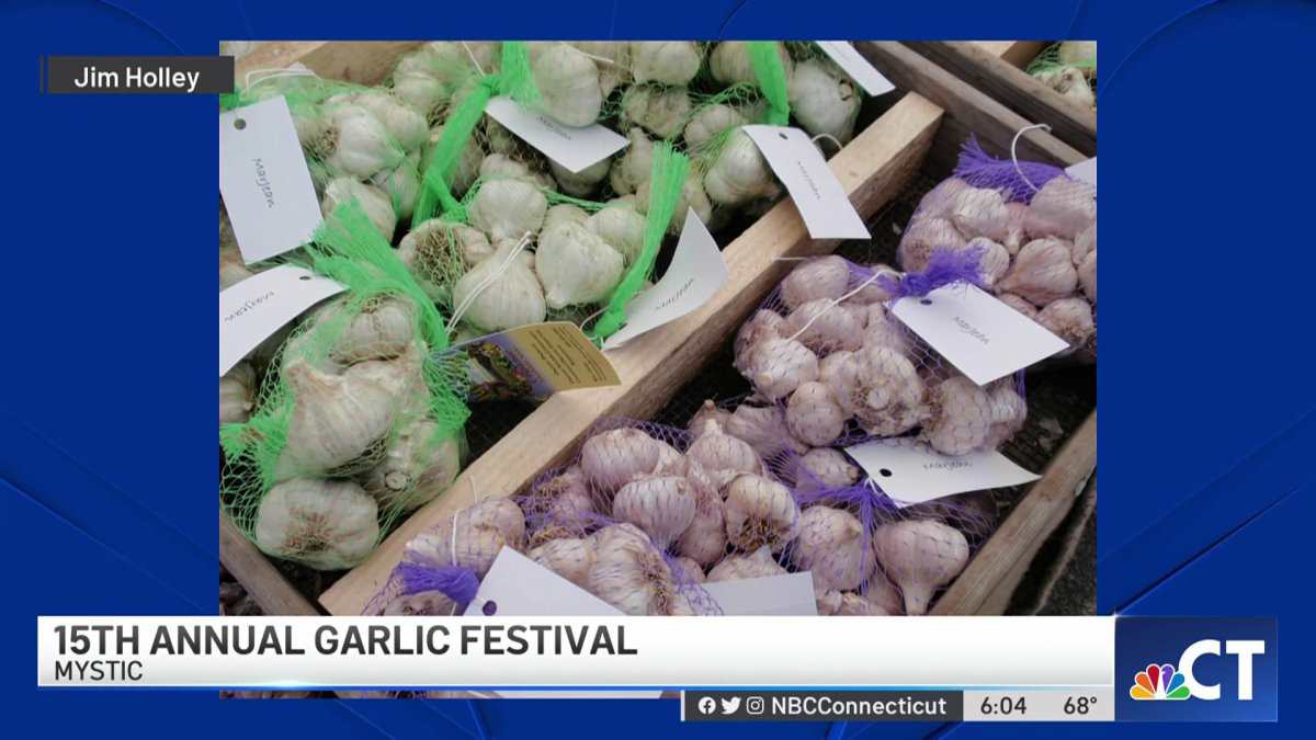 15th Annual Garlic Festival Held in Mystic NBC Connecticut