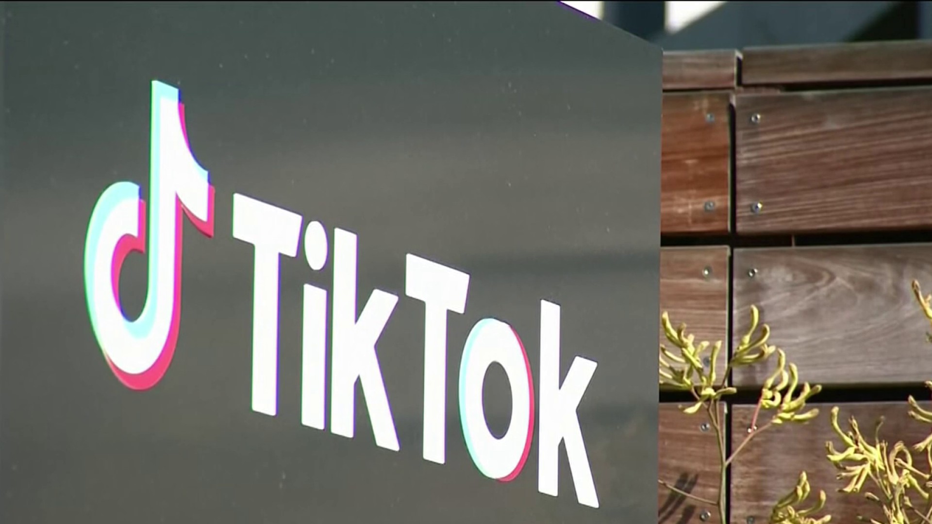 Report: TikTok boosts posts about eating disorders, suicide