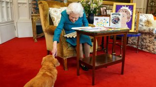Photo from Jan. 2022 showing Queen Elizabeth and her corgi, Candy.