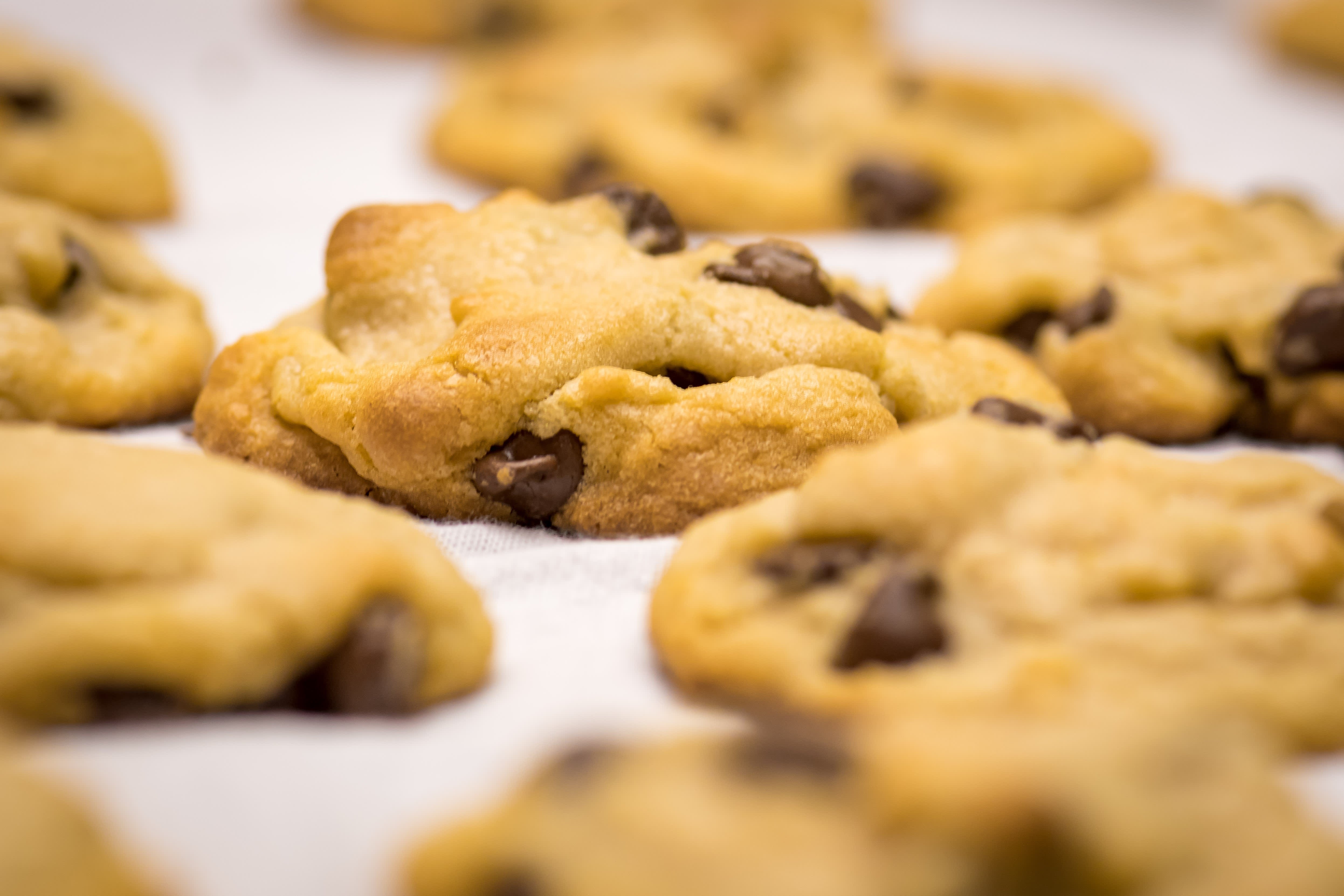 Utah's Cookie War Heats Up in Court – and on Social Media - Vimarsana News