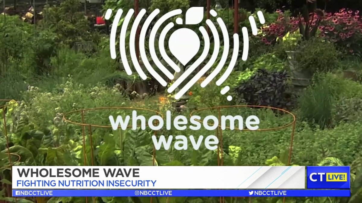 CT LIVE! ConnecticutBased Nonprofit Benefits From This Year’s