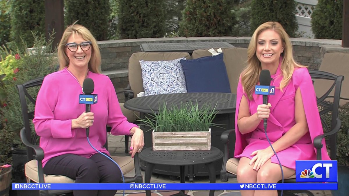 CT LIVE! The Etiquette of Dining Out With Dogs NBC Connecticut