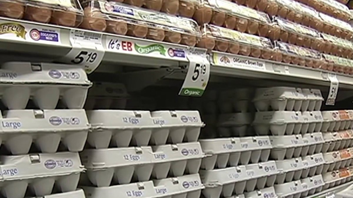 Egg Prices Soar in Recent Weeks – NBC Connecticut